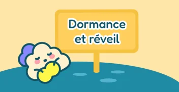 Dormance & Réveil